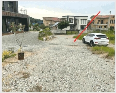  2025Ÿ3831  ûֽ û   61-1     (Ӿ)