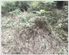  2025Ÿ3831  ûֽ û   61-1     (Ӿ)