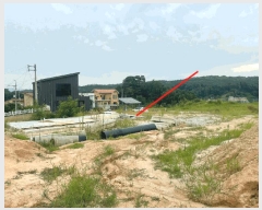  2025Ÿ3831  ûֽ û   61-1     (Ӿ)