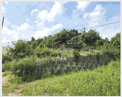  2025Ÿ��3886  ���ð��