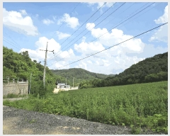  2025Ÿ��3886  ���ð��