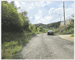  2025Ÿ��3886  ���ð��