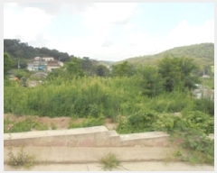  2025Ÿ��4025 ��� û�ֽ� ��籸 ���ϸ� ������ ��69-7     ����(�Ӿ�)���