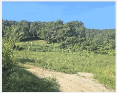  2025Ÿ��4278 ��� ���걺 û�ȸ� û�븮 109      ����(��1)���