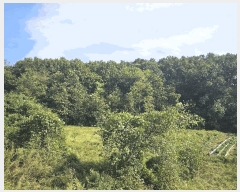  2025Ÿ��4278 ��� ���걺 û�ȸ� û�븮 109      ����(��1)���