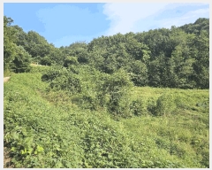  2025Ÿ��4278 ��� ���걺 û�ȸ� û�븮 109      ����(��1)���