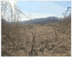  2025Ÿ50922  ûֽ û   36-5     (Ӿ)