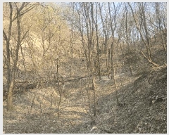  2025Ÿ50922  ûֽ û   36-5     (Ӿ)