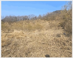  2025Ÿ50922  ûֽ û   36-5     (Ӿ)