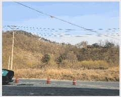  2025Ÿ50922  ûֽ û   36-5     (Ӿ)