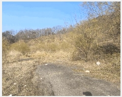  2025Ÿ50922  ûֽ û   36-5     (Ӿ)