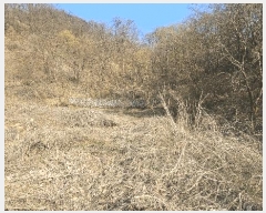  2025Ÿ50922  ûֽ û   36-5     (Ӿ)