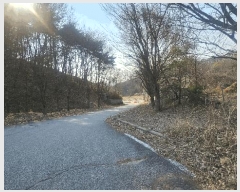  2025Ÿ50922  ûֽ û   36-5     (Ӿ)