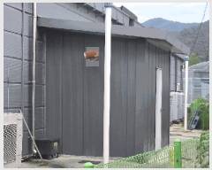  2025Ÿ51023  ûֽ 籸  ݰŸ 211-3     