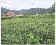  2025Ÿ51023  ûֽ 籸  ݰŸ 211-3     