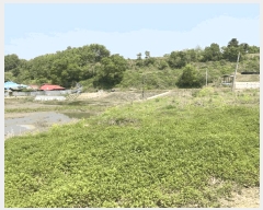  2025Ÿ��51186 ��� ���걺 �縮�� ���ฮ 548-1      ����(�Ӿ�)���