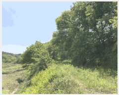  2025Ÿ��51186 ��� ���걺 �縮�� ���ฮ 548-1      ����(�Ӿ�)���