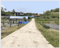  2025Ÿ��51186 ��� ���걺 �縮�� ���ฮ 548-1      ����(�Ӿ�)���