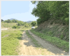  2025Ÿ��51186 ��� ���걺 �縮�� ���ฮ 548-1      ����(�Ӿ�)���