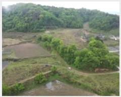  2025Ÿ��51186 ��� ���걺 �縮�� ���ฮ 548-1      ����(�Ӿ�)���