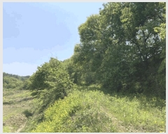  2025Ÿ��51186 ��� ���걺 �縮�� ���ฮ 548-1      ����(�Ӿ�)���