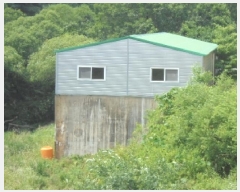  2025Ÿ51369  걺   595-2      