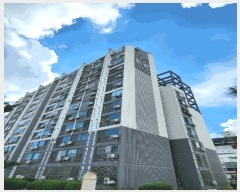  2025Ÿ51406  ûֽ û  1292 ŶƮ  4 411ȣ  Ʈ