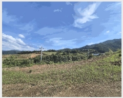  2025Ÿ��51420 ��� ���걺 ûõ�� ���� 20-1      ����(��1)���