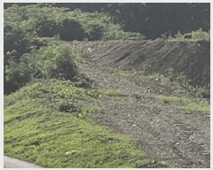  2025Ÿ��51420 ��� ���걺 ûõ�� ���� 20-1      ����(��1)���