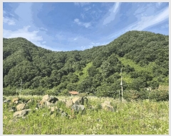  2025Ÿ��51420 ��� ���걺 ûõ�� ���� 20-1      ����(��1)���