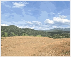  2025Ÿ��51420 ��� ���걺 ûõ�� ���� 20-1      ����(��1)���