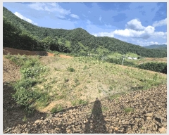  2025Ÿ��51420 ��� ���걺 ûõ�� ���� 20-1      ����(��1)���