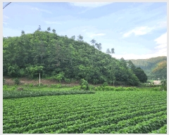  2025Ÿ��51434 ��� ���걺 û�ȸ� ����� ��38-1      ����(�Ӿ�)���