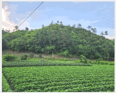  2025Ÿ��51434 ��� ���걺 û�ȸ� ����� ��38-1      ����(�Ӿ�)���