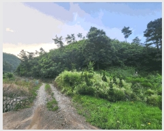  2025Ÿ��51434 ��� ���걺 û�ȸ� ����� ��38-1      ����(�Ӿ�)���