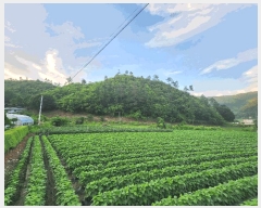  2025Ÿ��51434 ��� ���걺 û�ȸ� ����� ��38-1      ����(�Ӿ�)���