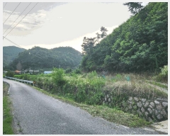  2025Ÿ��51434 ��� ���걺 û�ȸ� ����� ��38-1      ����(�Ӿ�)���