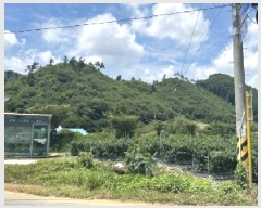  2025Ÿ��51434 ��� ���걺 û�ȸ� ����� ��38-1      ����(�Ӿ�)���