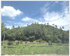  2025Ÿ��51434 ��� ���걺 û�ȸ� ����� ��38-1      ����(�Ӿ�)���