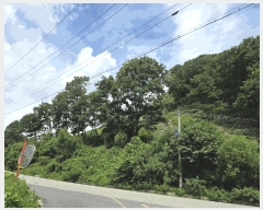  2025Ÿ51445  걺 ûȸ ϸ 32-1      (Ӿ)