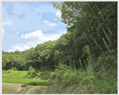  2025Ÿ51445  걺 ûȸ ϸ 32-1      (Ӿ)