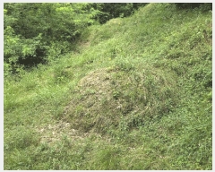  2025Ÿ51445  걺 ûȸ ϸ 32-1      (Ӿ)