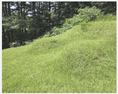  2025Ÿ51445  걺 ûȸ ϸ 32-1      (Ӿ)