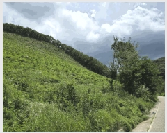  2025Ÿ51445  걺 ûȸ ϸ 32-1      (Ӿ)