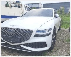  2025Ÿ51498 ûֽ  强 50-1 ȭ      