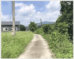 2025Ÿ��51541 ��� ���걺 ������ ������ 745-1      ������