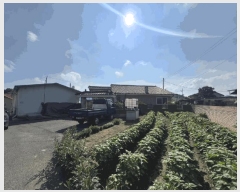  2025Ÿ51573  걺  ž̸ 366-2      ð