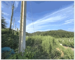  2025Ÿ51573  걺  ž̸ 366-2      ð