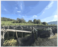  2025Ÿ51573  걺  ž̸ 366-2      ð