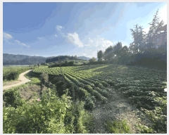  2025Ÿ51573  걺  ž̸ 366-2      ð